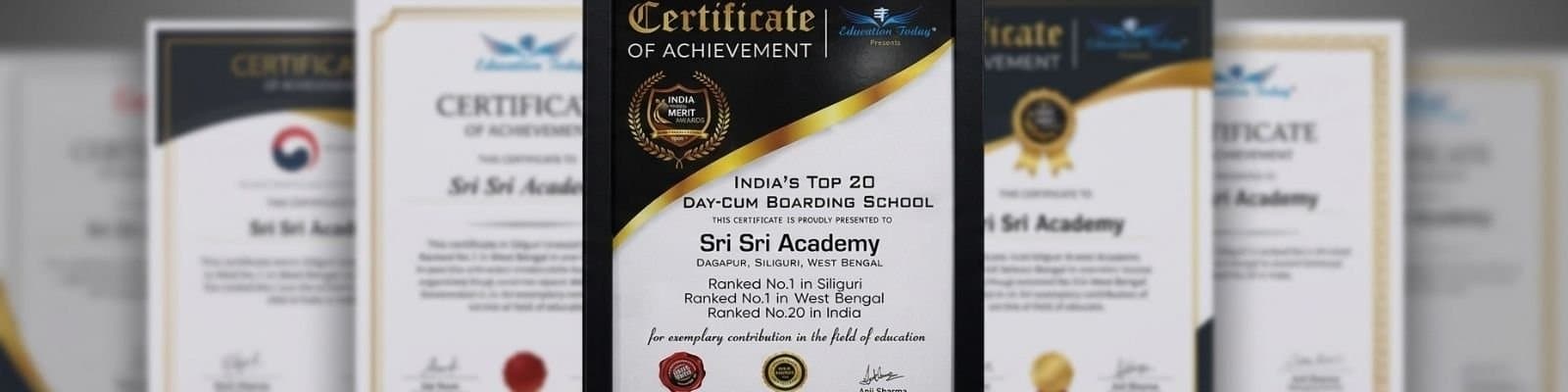 Awards and achievements at Sri Sri Academy