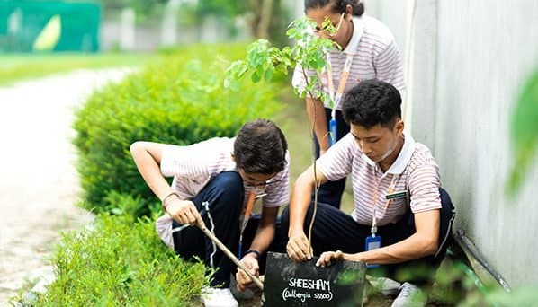 Students taking part in Go Green activities