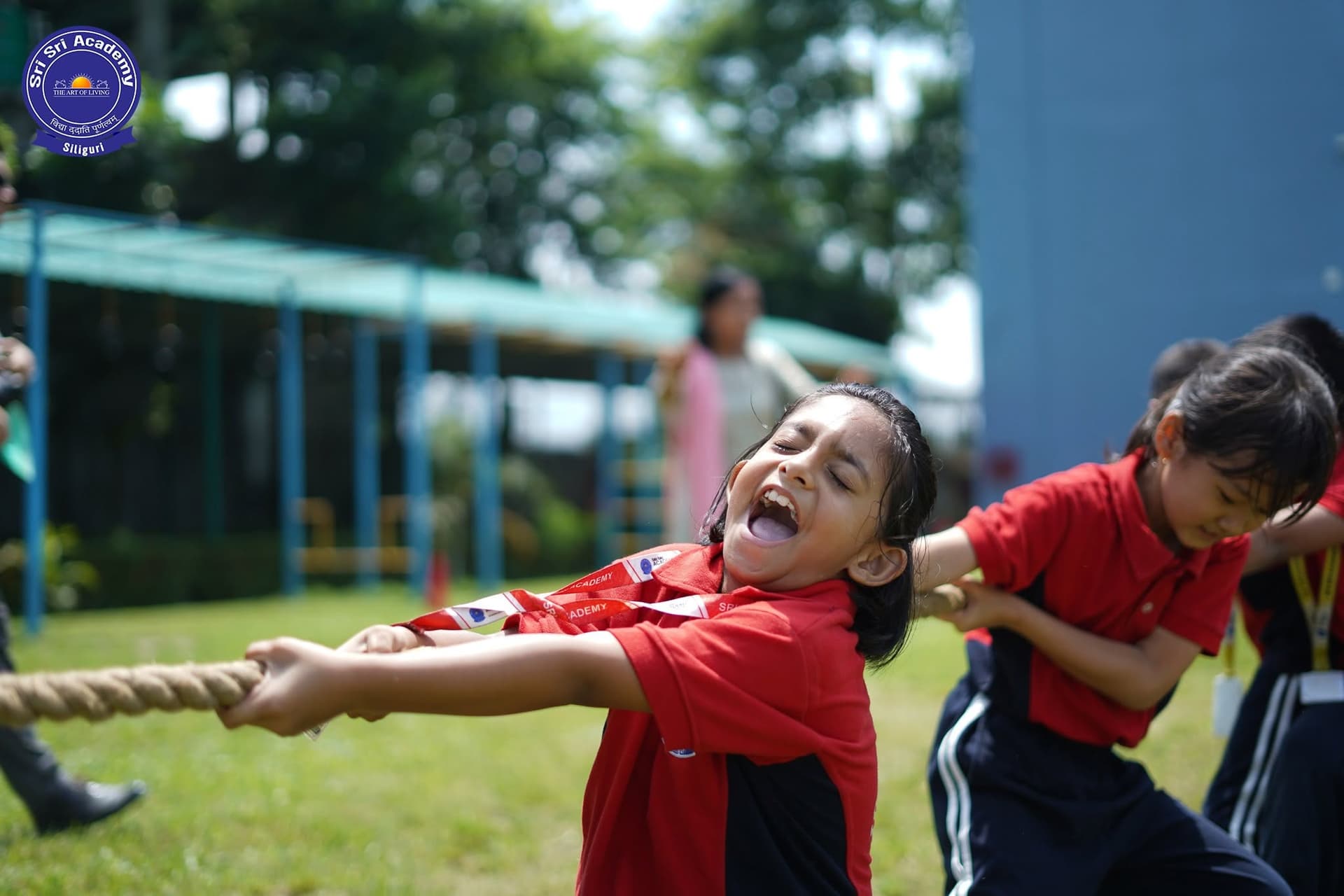 Sports Without Limits